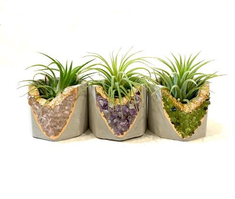 quartz air plant Amethyst, Quartz, or Peridot Crystal Concrete Planter with Air Plant