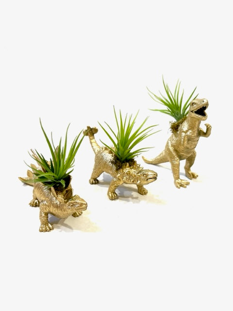Dinosaur Planter with Air Plant – Plant One On Me Designs