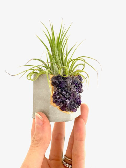 Geode Crystal Planter | Succulent Planter | Purple Planter | online Raw Amethyst