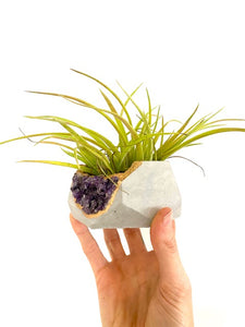 Crystal Hexagon Concrete Planter with Air Plant