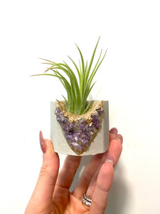 amethyst plant pot Amethyst, Quartz, or Peridot Crystal Concrete Planter with Air Plant – Plant One On Me Designs