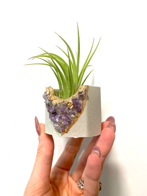 amethyst crystal air plant Amethyst, Quartz, or Peridot Crystal Concrete Planter with Air Plant – Plant One On Me Designs