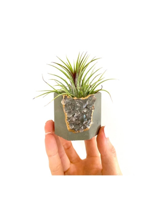 quartz air plant Rose Quartz Crystal Planter with Air Plant
