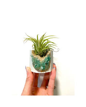 Green Aventurine Crystal Planter with Air Plant