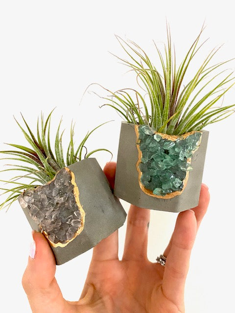 rose quartz air plant Rose Quartz Crystal Planter with Air Plant