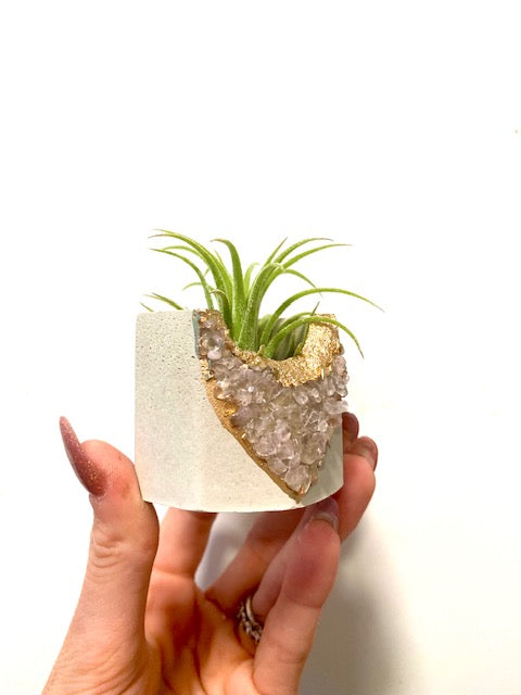 quartz air plant Amethyst, Quartz, or Peridot Crystal Concrete Planter with Air Plant