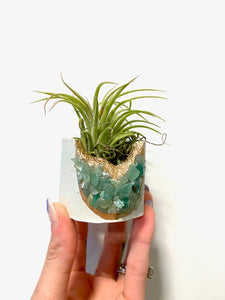 Green Aventurine Crystal Planter with Air Plant