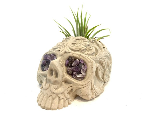 sugar skull pot plant Amethyst Sugar Skull Concrete Planter with Air Plant – Plant One On Me  Designs